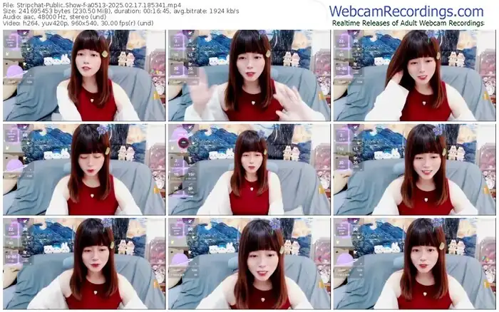 2025/02/17/stripchat-a0513-18-53-41