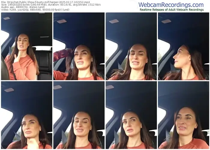 2025/02/17/stripchat-busty-milf-harper-10-21-52