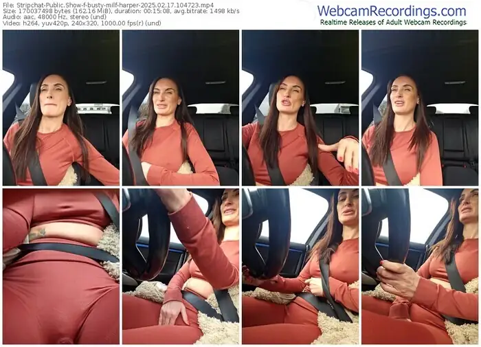 2025/02/17/stripchat-busty-milf-harper-10-47-23