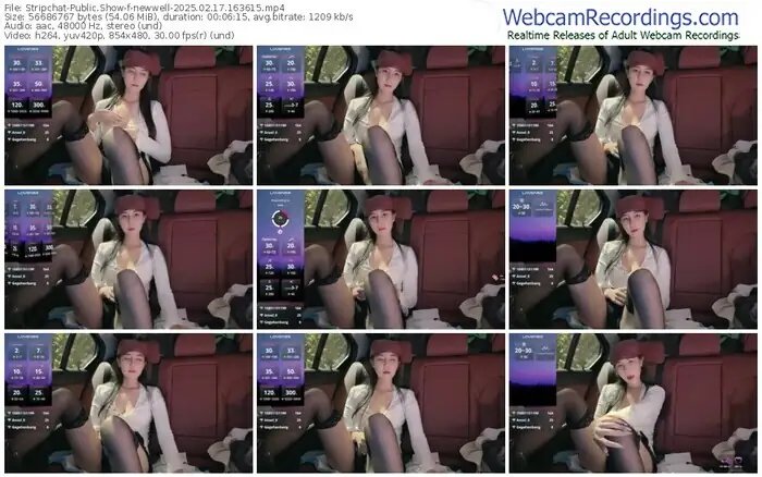 2025/02/17/stripchat-newwell-16-36-15