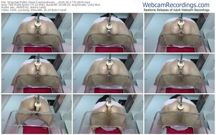 2025/02/17/stripchat-sammyevans__-01-29-35