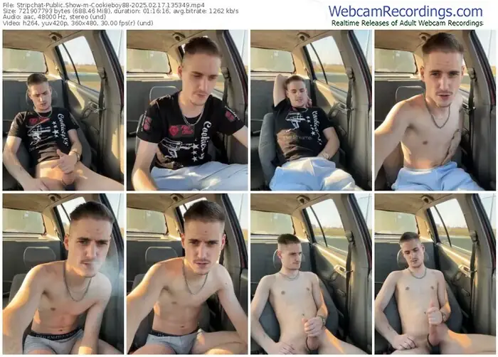 2025/02/17/stripchat-cookieboy88-13-53-49