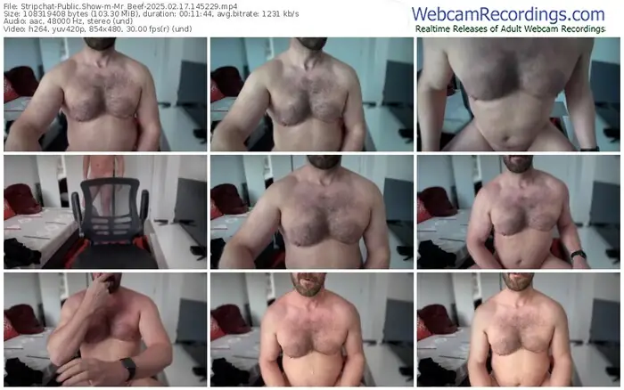 2025/02/17/stripchat-mr_beef-14-52-29