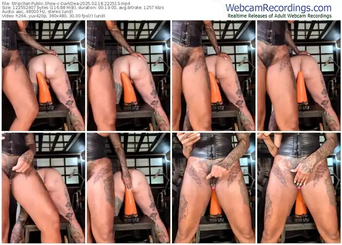 2025/02/18/stripchat-darkdea-22-25-13