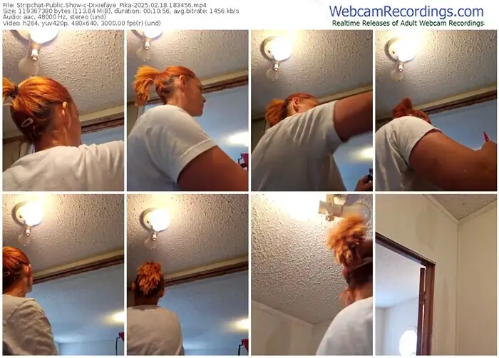 2025/02/18/stripchat-dixiefaye_pika-18-34-56