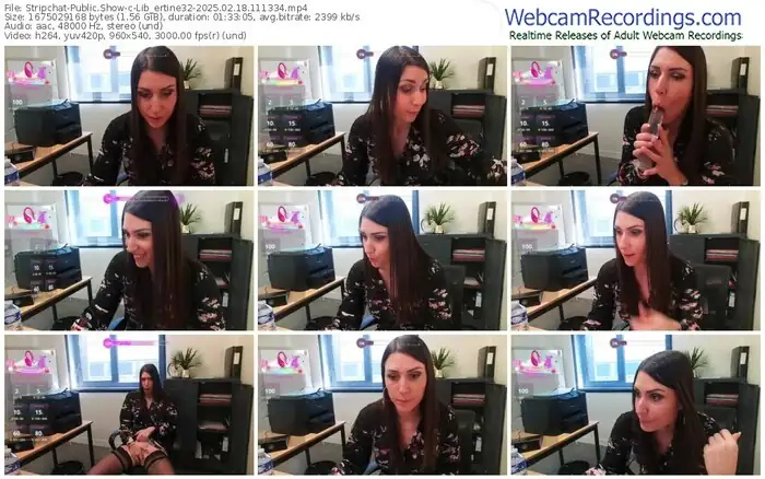 2025/02/18/stripchat-lib_ertine32-11-13-34