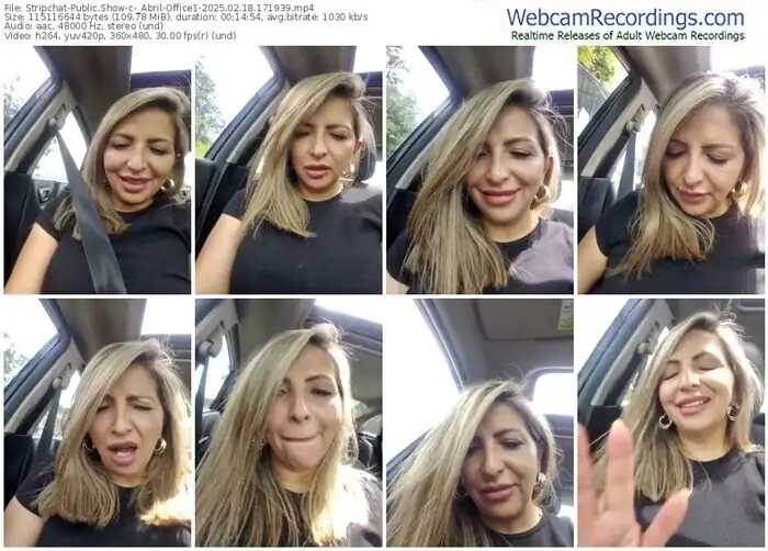 2025/02/18/stripchat-_abril-office1-17-19-39