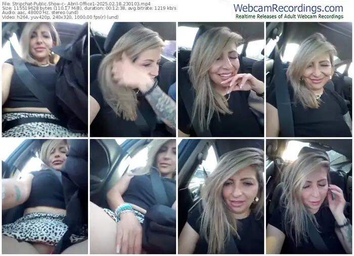 2025/02/18/stripchat-_abril-office1-23-01-03