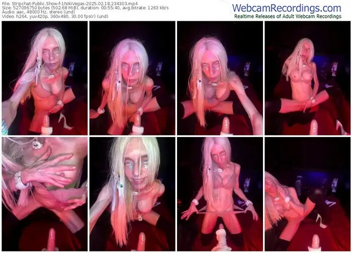 2025/02/18/stripchat-1nikivegas-23-43-03