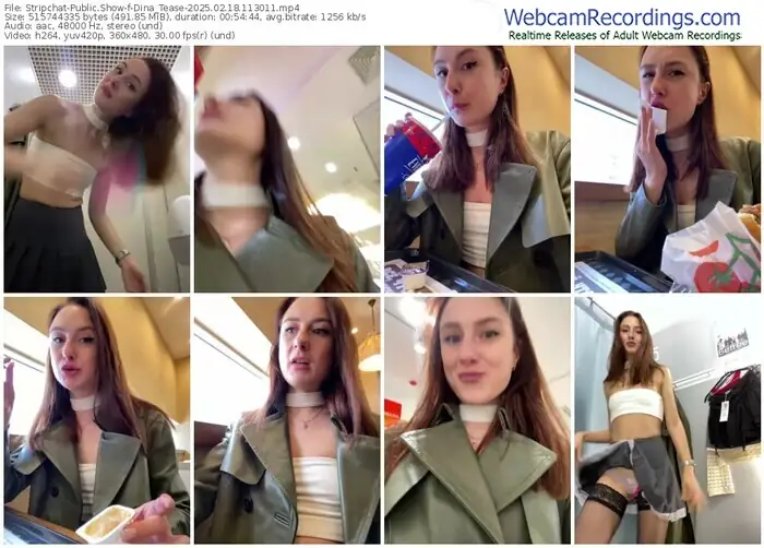 2025/02/18/stripchat-dina_tease-11-30-11