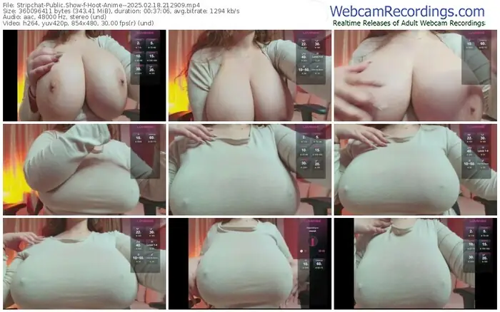 2025/02/18/stripchat-hoot-anime--21-29-09