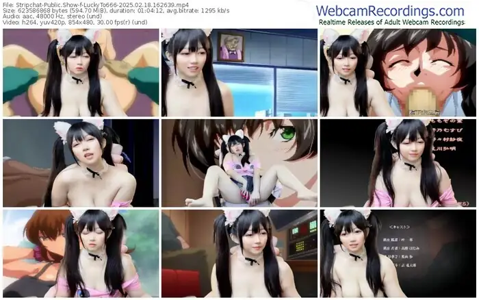 2025/02/18/stripchat-luckyto666-16-26-39