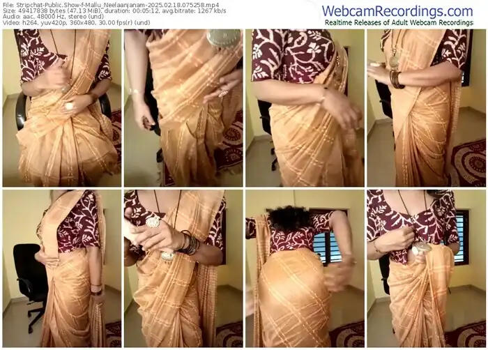 2025/02/18/stripchat-mallu_neelaanjanam-07-52-58