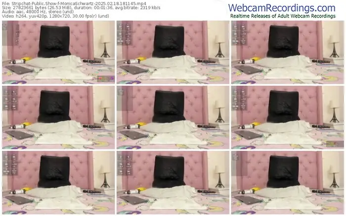 2025/02/18/stripchat-monicaschwartz-18-11-45