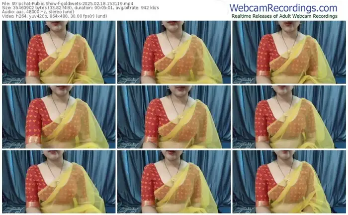 2025/02/18/stripchat-goldiwets-15-31-19