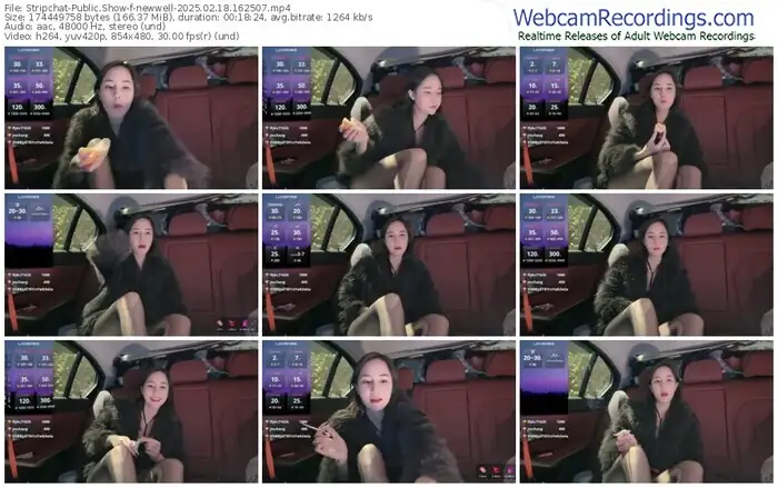 2025/02/18/stripchat-newwell-16-25-07