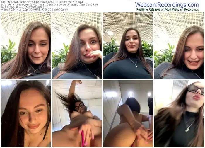 2025/02/19/stripchat-artemida_hot-09-37-52