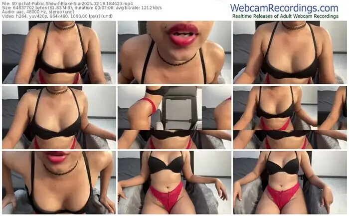 2025/02/19/stripchat-blake-sia-18-46-23