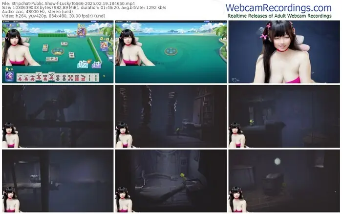 2025/02/19/stripchat-luckyto666-18-46-50