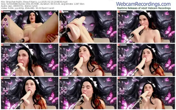 2025/02/19/stripchat-nancy_lu-20-48-36