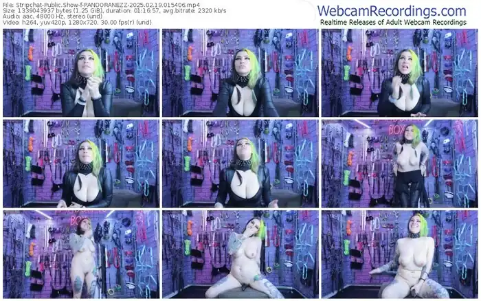 2025/02/19/stripchat-pandoranezz-01-54-06