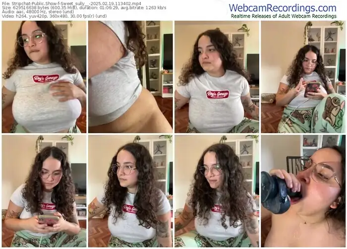 2025/02/19/stripchat-sweet_sully__-11-34-02