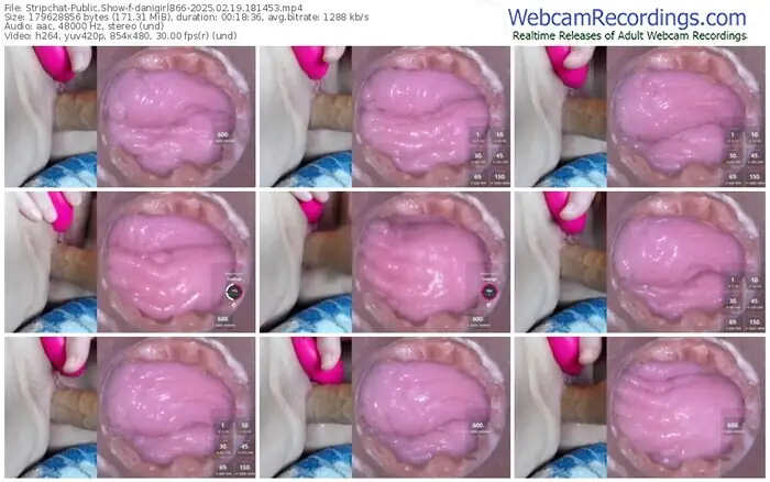 2025/02/19/stripchat-danigirl866-18-14-53