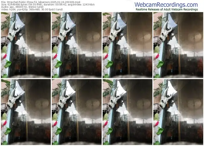 2025/02/19/stripchat-k_lebannon-20-03-09