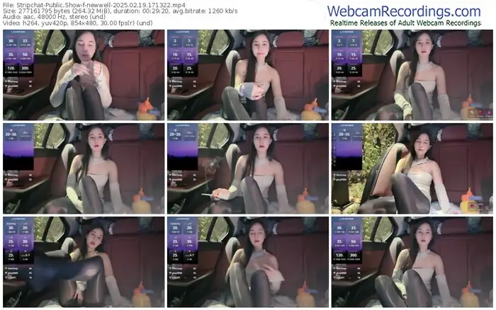 2025/02/19/stripchat-newwell-17-13-22