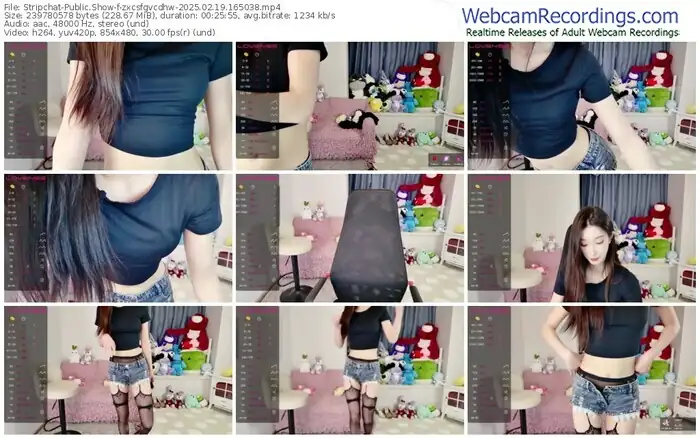 2025/02/19/stripchat-zxcsfgvcdhw-16-50-38