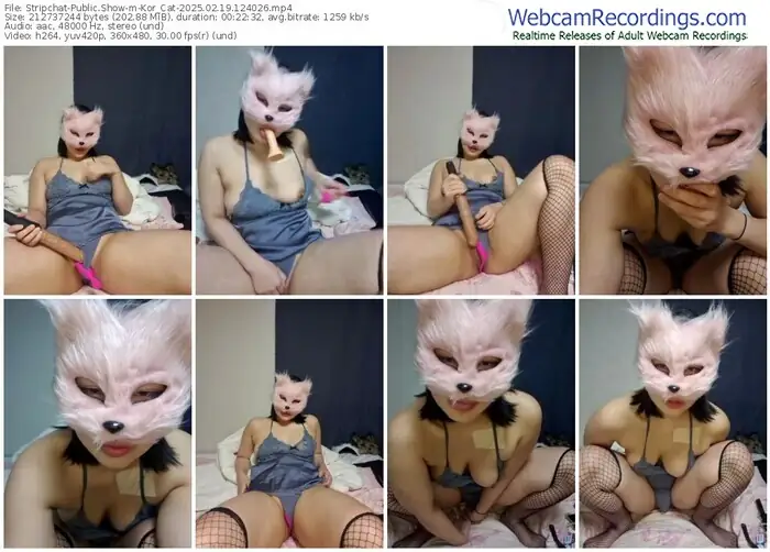 2025/02/19/stripchat-kor_cat-12-40-26