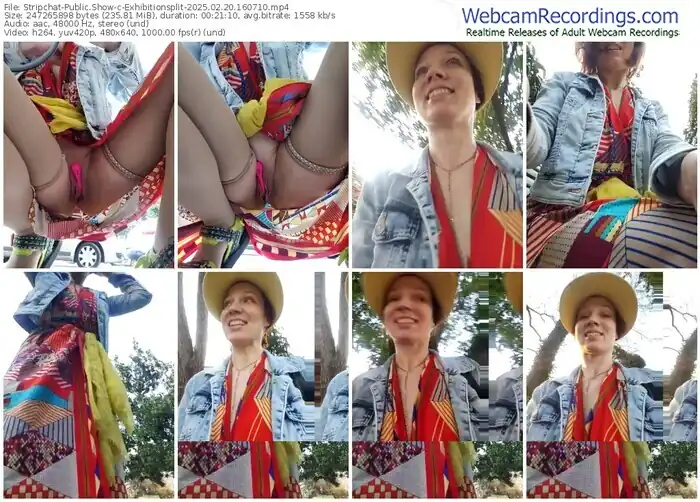 2025/02/20/stripchat-exhibitionsplit-16-07-10