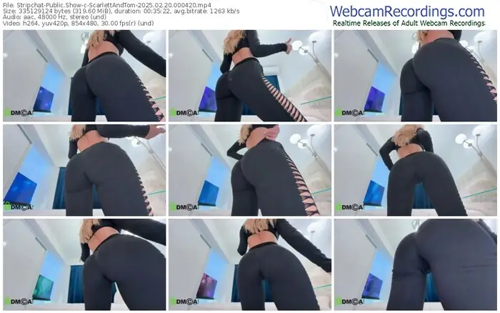 2025/02/20/stripchat-scarlettandtom-00-04-20