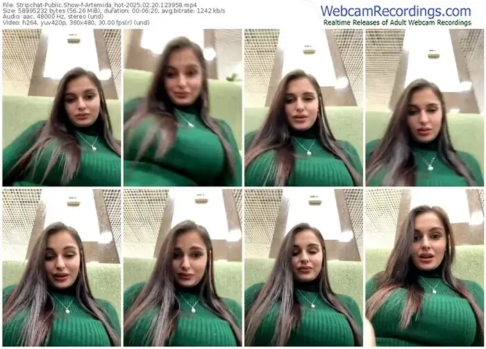 2025/02/20/stripchat-artemida_hot-12-39-58