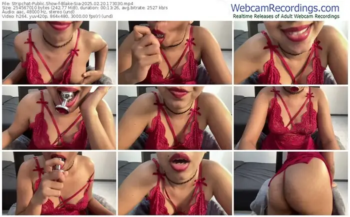 2025/02/20/stripchat-blake-sia-17-30-30