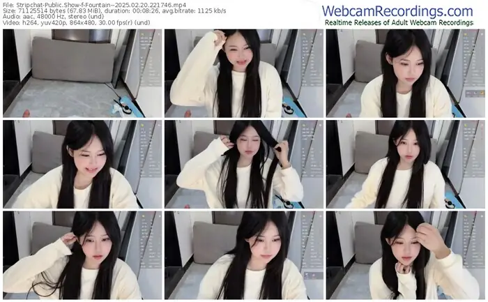 2025/02/20/stripchat-fountain--22-17-46