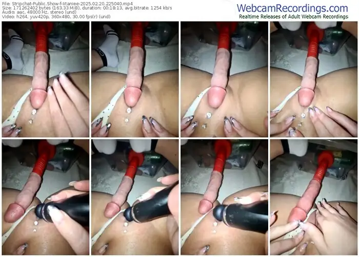 2025/02/20/stripchat-iitaniee-22-50-40