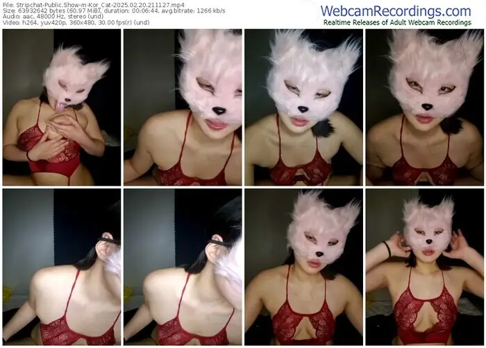 2025/02/20/stripchat-kor_cat-21-11-27