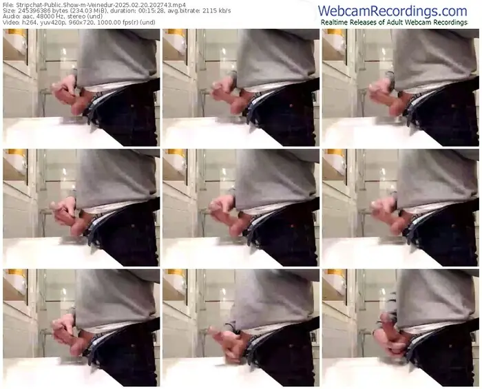 2025/02/20/stripchat-veinedur-20-27-43