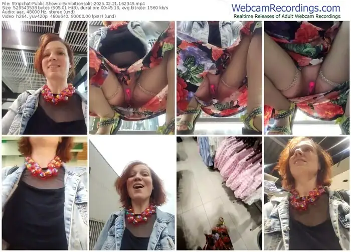 2025/02/21/stripchat-exhibitionsplit-16-23-49