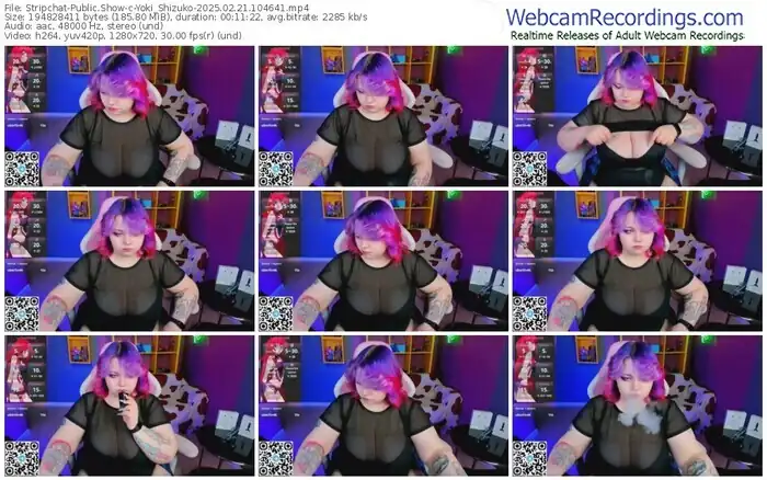 2025/02/21/stripchat-yoki_shizuko-10-46-41