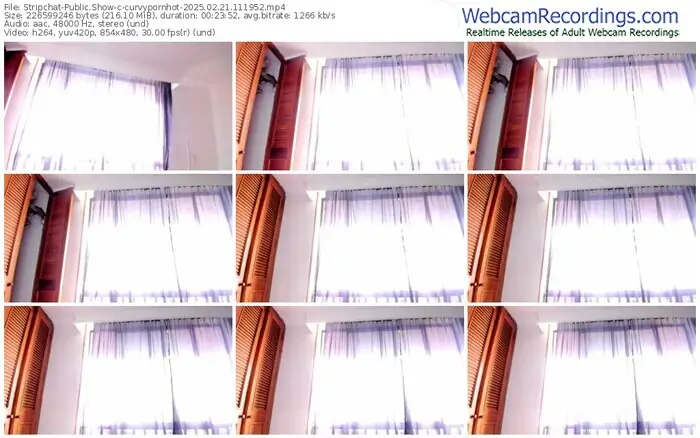 2025/02/21/stripchat-curvypornhot-11-19-52