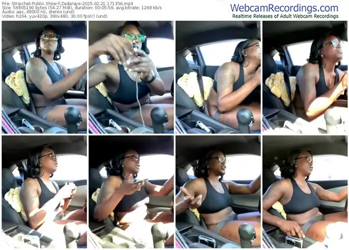 2025/02/21/stripchat-zadaraye-17-13-56