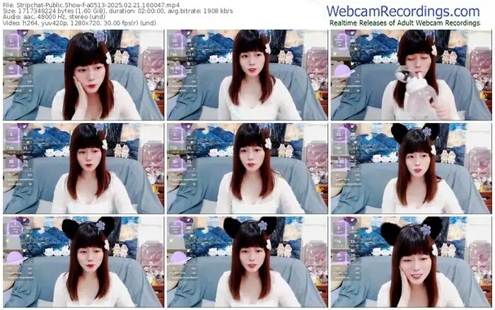 2025/02/21/stripchat-a0513-16-00-47