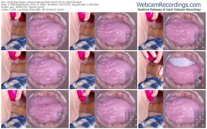 2025/02/21/stripchat-danigirl866-18-41-28