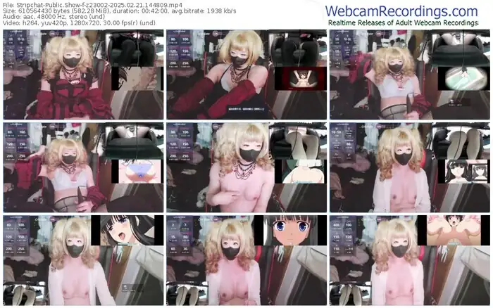 2025/02/21/stripchat-z23002-14-48-09