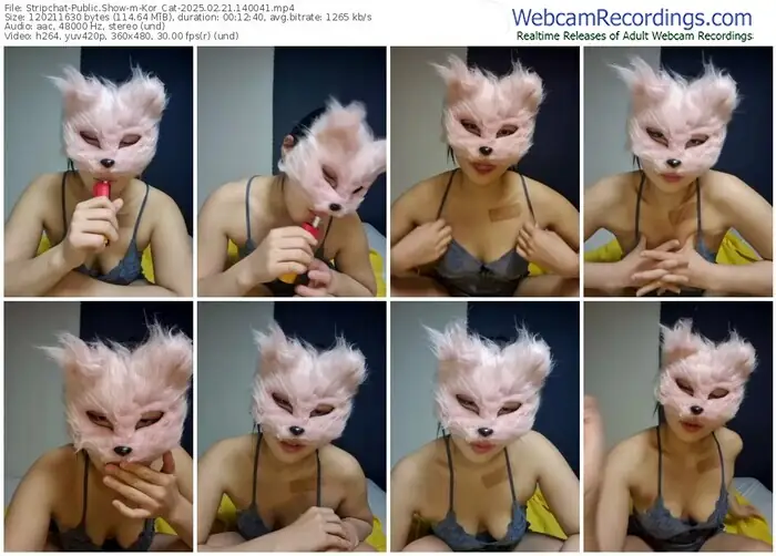 2025/02/21/stripchat-kor_cat-14-00-41