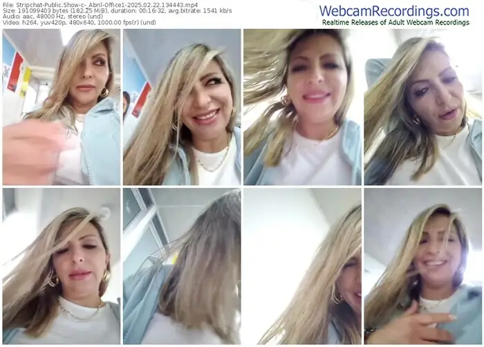 2025/02/22/stripchat-_abril-office1-13-44-43
