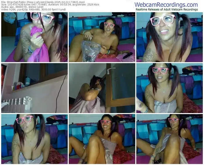 2025/02/22/stripchat-allyson22andy-17-28-21