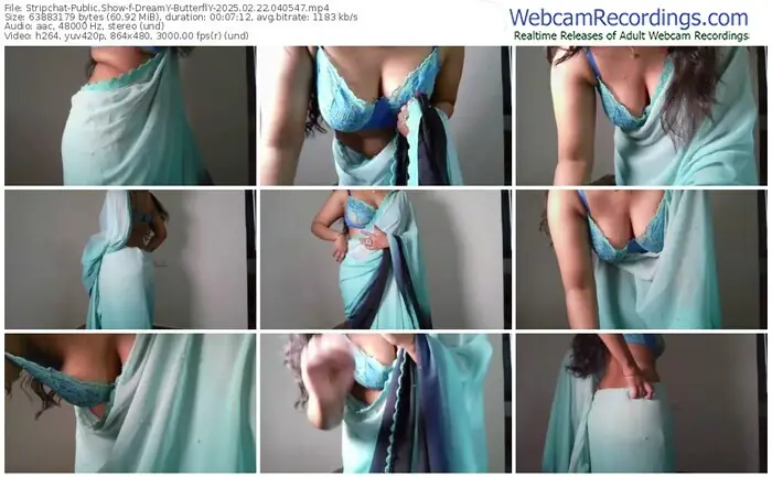 2025/02/22/stripchat-dreamy-butterfly-04-05-47